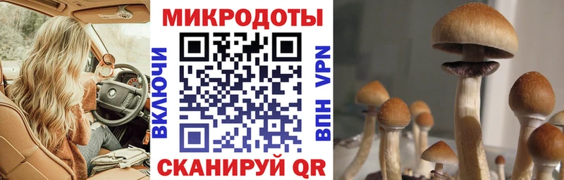 Псилоцибиновые грибы GOLDEN TEACHER  omg tor  Ивангород 